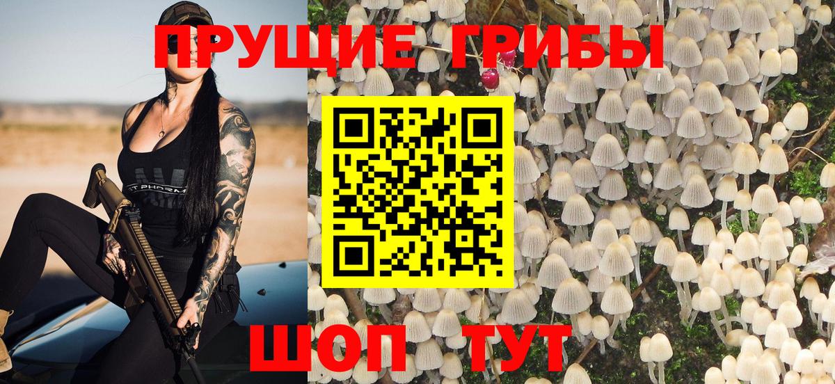 Орёл  Псилоцибиновые грибы прущие грибы  Псилоцибиновые грибы прущие грибы  Вход с VPN 