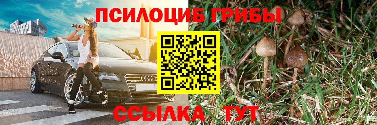 Псилоцибиновые грибы ЛСД Орёл